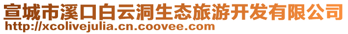宣城市溪口白云洞生態旅游開發有限公司