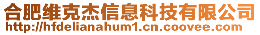 合肥維克杰信息科技有限公司