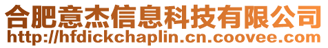 合肥意杰信息科技有限公司
