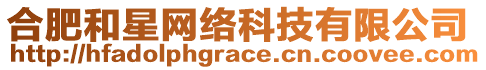 合肥和星網(wǎng)絡(luò)科技有限公司