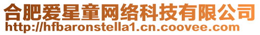 合肥愛星童網絡科技有限公司