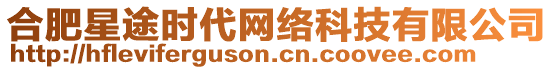 合肥星途時代網絡科技有限公司