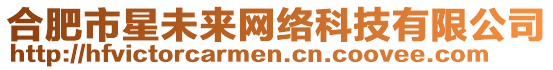 合肥市星未來網絡科技有限公司