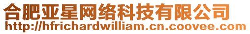 合肥亞星網(wǎng)絡科技有限公司