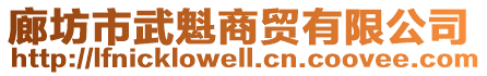 廊坊市武魁商貿有限公司