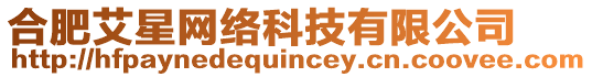 合肥艾星網(wǎng)絡(luò)科技有限公司