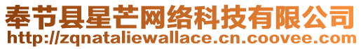 奉節縣星芒網絡科技有限公司