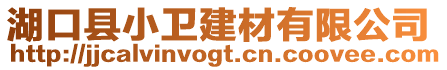 湖口縣小衛(wèi)建材有限公司