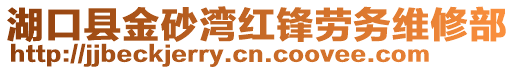 湖口縣金砂灣紅鋒勞務維修部