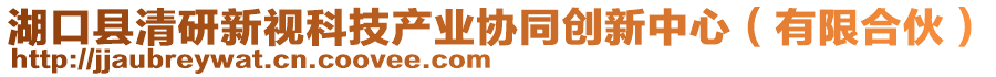 湖口縣清研新視科技產業協同創新中心（有限合伙）