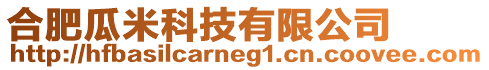 合肥瓜米科技有限公司