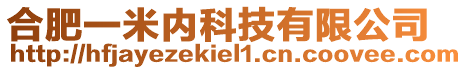 合肥一米內(nèi)科技有限公司