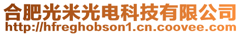 合肥光米光電科技有限公司