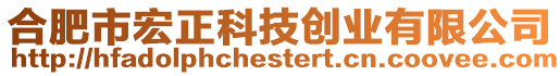 合肥市宏正科技創業有限公司