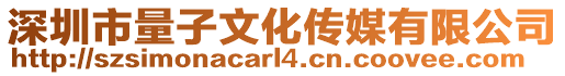 深圳市量子文化傳媒有限公司