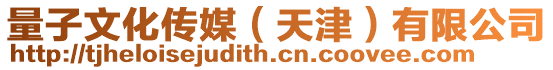 量子文化傳媒（天津）有限公司