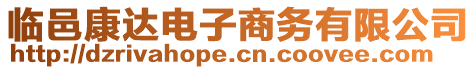 临邑康达电子商务有限公司