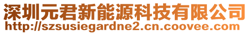 深圳元君新能源科技有限公司