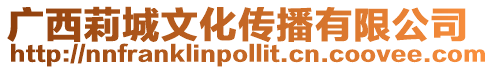 廣西莉城文化傳播有限公司