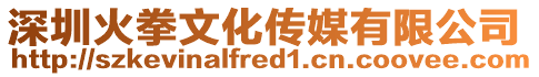 深圳火拳文化傳媒有限公司