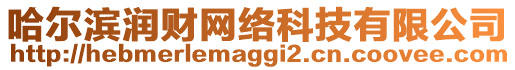 哈爾濱潤財網絡科技有限公司