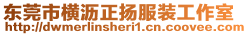 東莞市橫瀝正揚服裝工作室