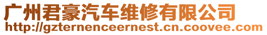 廣州君豪汽車維修有限公司