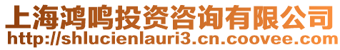 上海鴻鳴投資咨詢有限公司