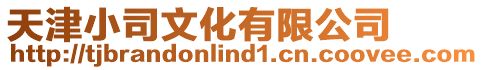 天津小司文化有限公司