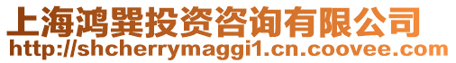 上海鴻巽投資咨詢有限公司