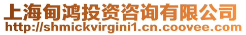 上海甸鴻投資咨詢有限公司