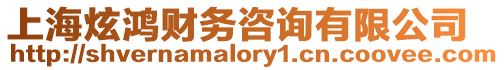 上海炫鴻財(cái)務(wù)咨詢有限公司