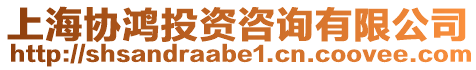 上海協鴻投資咨詢有限公司