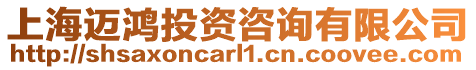 上海邁鴻投資咨詢有限公司