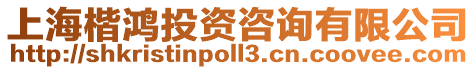 上海楷鴻投資咨詢有限公司