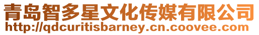 青島智多星文化傳媒有限公司
