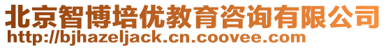 北京智博培優教育咨詢有限公司