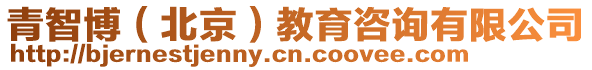 青智博(北京)教育咨詢有限公司