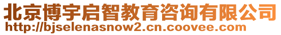 北京博宇啟智教育咨詢有限公司