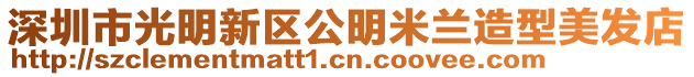 深圳市光明新區公明米蘭造型美發店