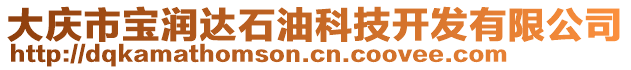 大慶市寶潤(rùn)達(dá)石油科技開(kāi)發(fā)有限公司