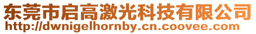 東莞市啟高激光科技有限公司