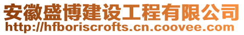 安徽盛博建設工程有限公司