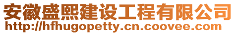 安徽盛熙建設工程有限公司