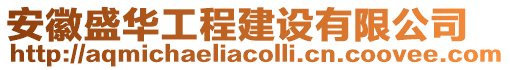 安徽盛華工程建設有限公司