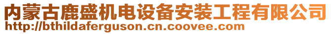 內蒙古鹿盛機電設備安裝工程有限公司