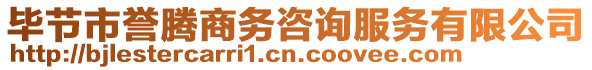 畢節市譽騰商務咨詢服務有限公司