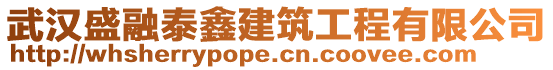 武漢盛融泰鑫建筑工程有限公司