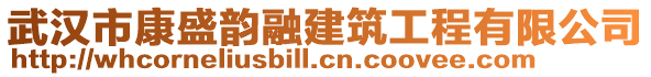 武漢市康盛韻融建筑工程有限公司