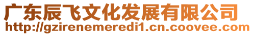 廣東辰飛文化發(fā)展有限公司